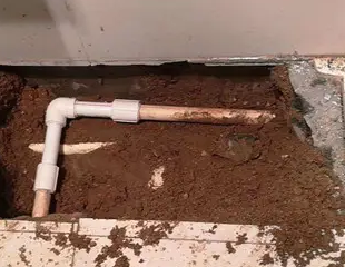 珠晖测漏水哪家好