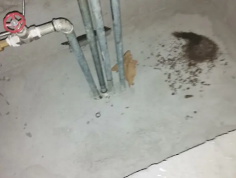 珠晖卫生间测漏水价格明细